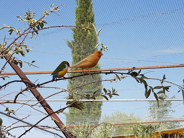 منزل الضيف Pozo Alcón  في Complejo Rural Ibipozo المظهر الخارجي الصورة