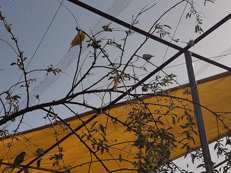 منزل الضيف Pozo Alcón  في Complejo Rural Ibipozo المظهر الخارجي الصورة